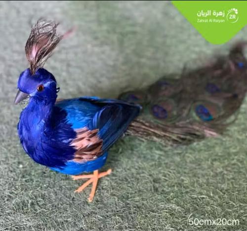 ديكور طاووس \ صغير