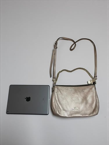 Coach Metallic Handbag