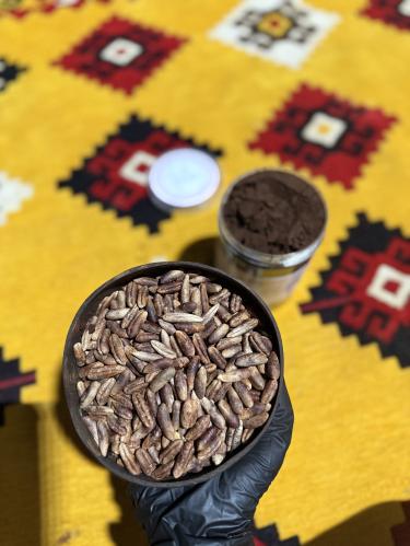 نواة التمر. بدون تحميص