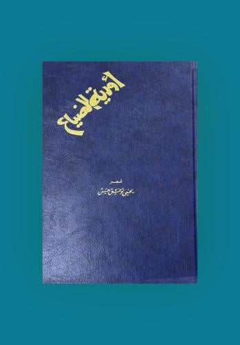 أودية الضياع - يحيى توفيق حسن