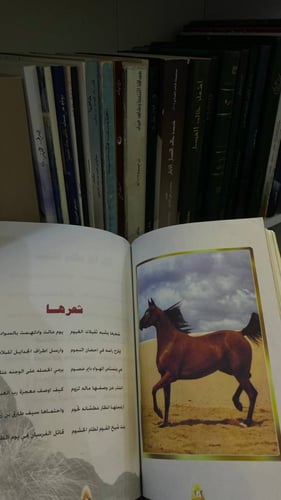 قصائد في مفاخر زايد