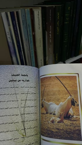 قصائد في مفاخر زايد