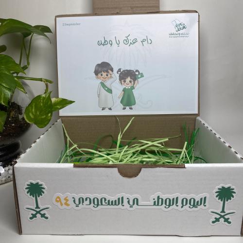 بوكس وسط للتقديم