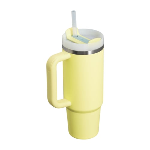 The Quencher H2.0 FlowState Tumbler | 0.89L