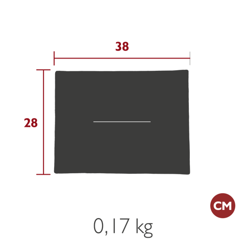 بيسترو وسادة بلون الصبار