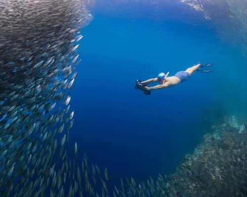 سكوتر Navbow للغوص تحت الماء