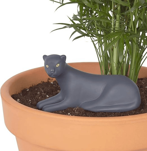 DOIY، الري الذاتي، الغابة، النمر