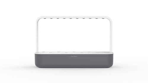 كليك اند غرو سمارت جاردن داخلي تسعة رمادي