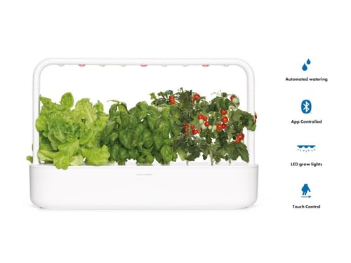 كليك اند غرو سمارت جاردن تسعة برو ، أبيض