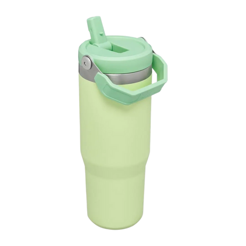 كوب ايس فلو ستانلس ستيل، زجاجة مياه معزولة بتفريغ...