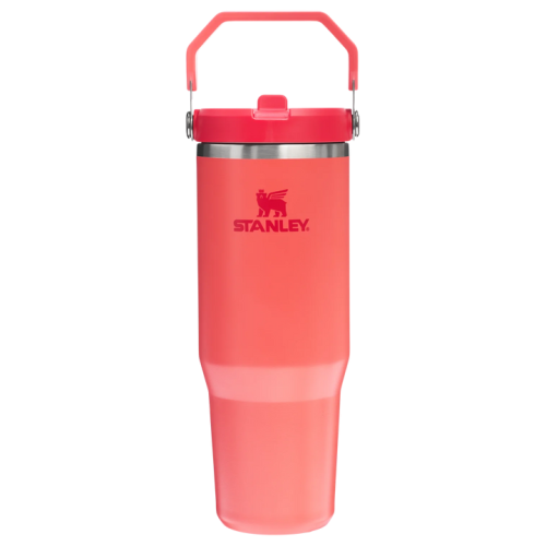 ستانلي آيس فلو جو 890 مل / 30 أونصة – زجاجة ماء بغ...
