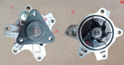 طرمبة ماء أصلية جوليان