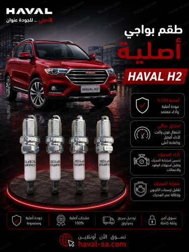 طقم بواجي الأصلي H2