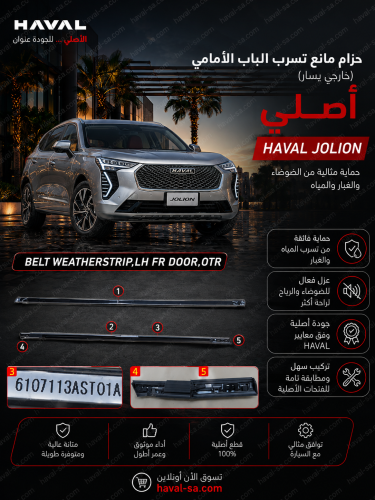 جلدة مسطرة باب امامي يسار أصلي جوليان JOLION