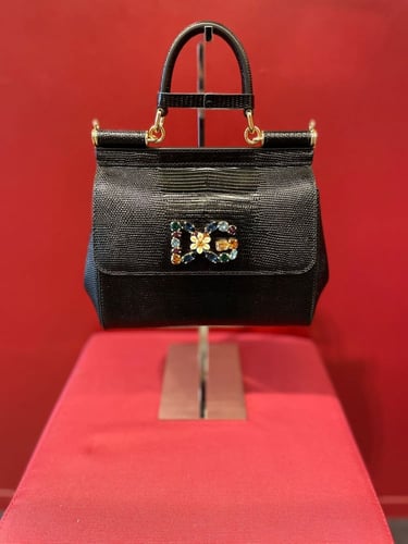 شنطة دولتشي غبانا