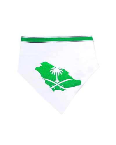 زينة اليوم الوطني