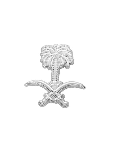 بروش اليوم الوطني سيفين ونخلة