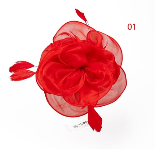 طوق شعر فرنسي