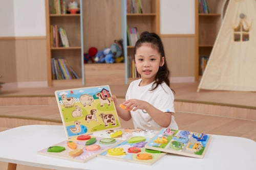 البزل البارز - المواصلات