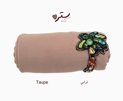طرحة نخل
