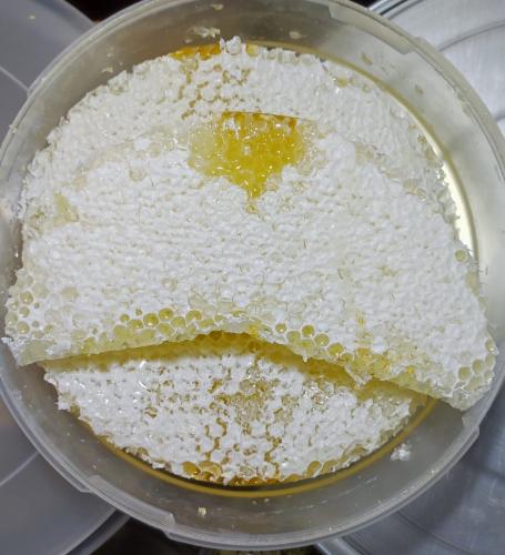 عسل القتاد شمع