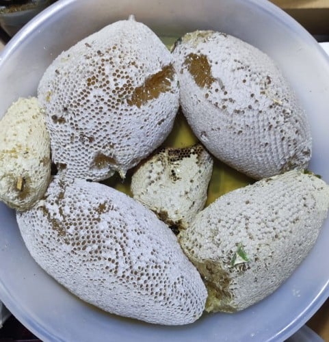 عسل سدر جبلي شمع