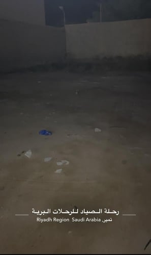 كشاف دائري على الطاقة أو شاحن ٤ اضاءات مع كشاف جان...