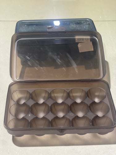 حافظة البيض البلاستيكية سعة 15 حبة