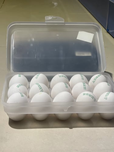 حافظة البيض البلاستيكية سعة 15 حبة