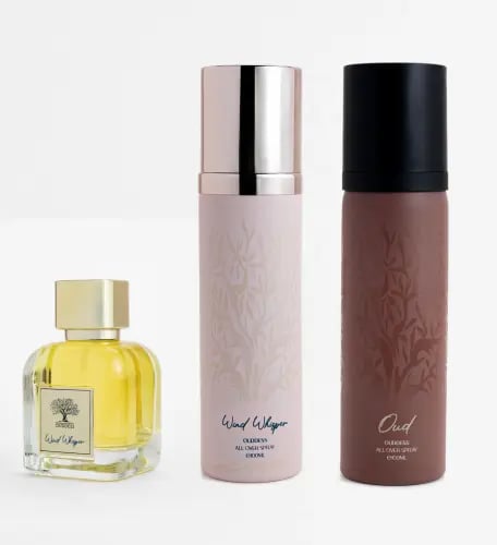 مجموعة وينتر 1 – أوديس