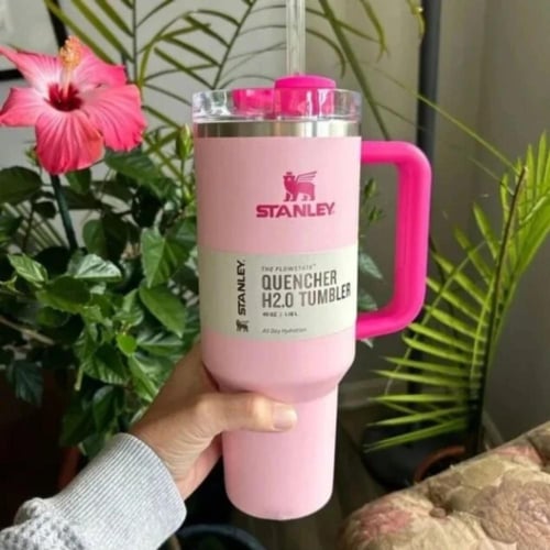 ( قويارد وردي + ستانلي وردي فاتح داكن ) Goyard