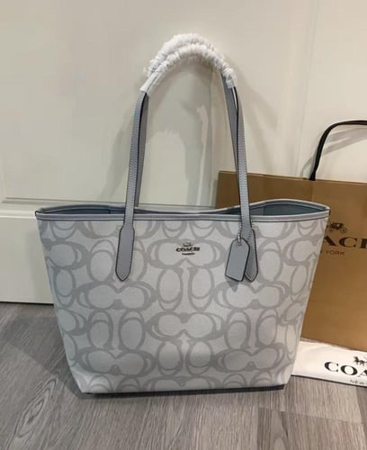 ( كوتش اورنج اليقطين ) Coach bag Outlet |