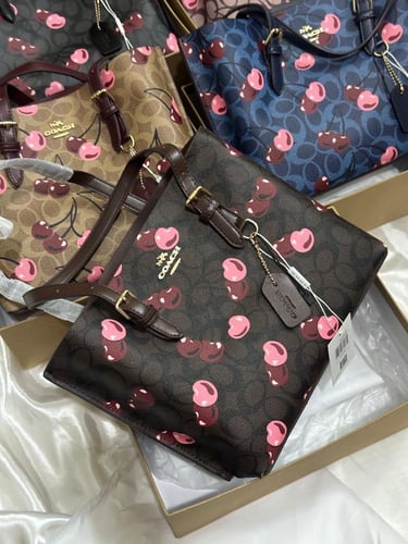 (شنطة كوتش تشيري ) مع الملحقات