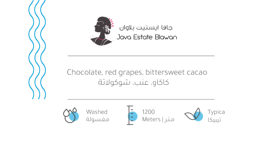 جافا ايستيت 907g / محمصة بيت التحميص