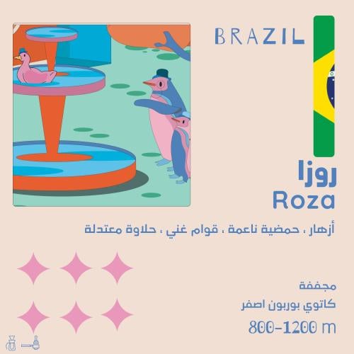 روزا البرازيل 250g / محمصة اولالا