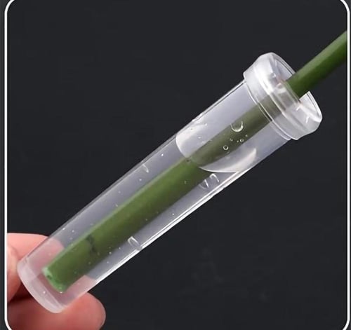 انبوب ماء بلاستيك للورد الطبيعي (100 حبه)