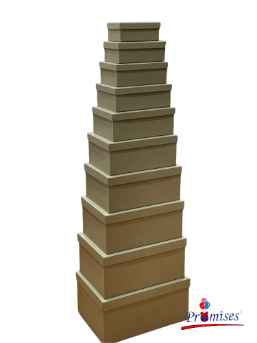 علب 10 قطع كبير بيج