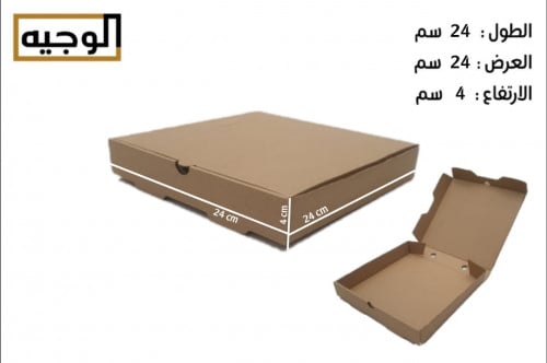 رقم (53) كرتون بيتزا صغير