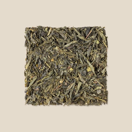 شاي سينشا الياباني