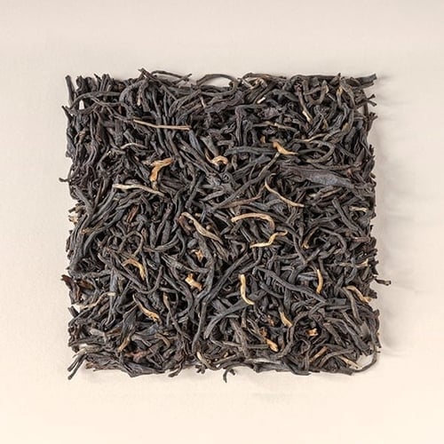 مختارات توليفة