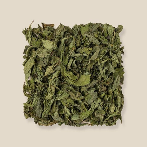 نعناع