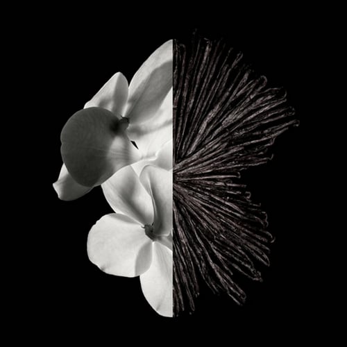 عطر جنتل مان من جيفنشي - او دو برفيوم - 100مل