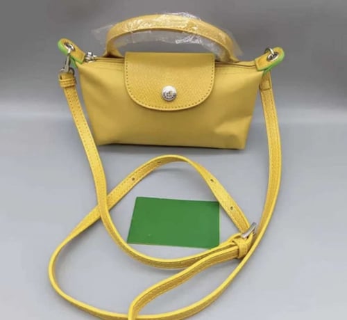 Longchamp mini bag