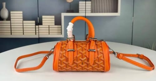 Goyard mini bag