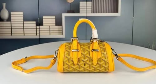 Goyard mini bag