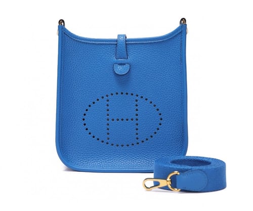 Hermes evelyn 17cm