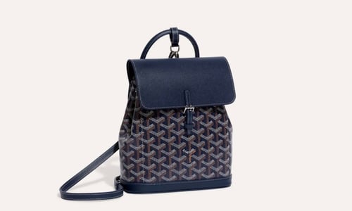 Goyard alpha mini backpack