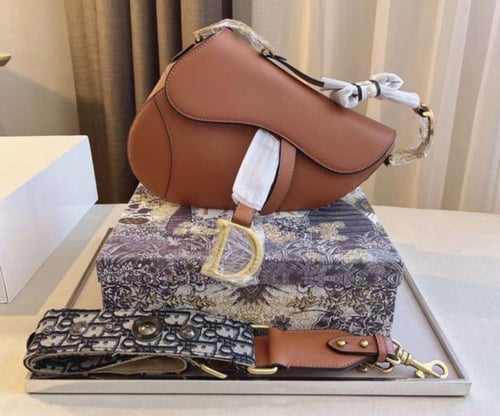 Dior saddle