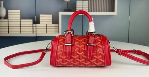 Goyard mini bag