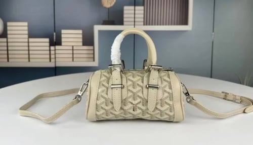 Goyard mini bag